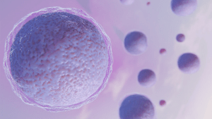IVF Mishap: Lawsuits Allege Destruction of Embryos Due to Liquid Errors