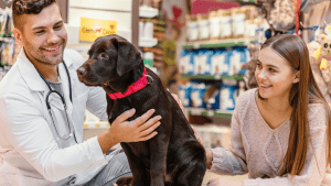 Global Animal Healthcare Market: Analysis of Business Strategies with Key International Players
